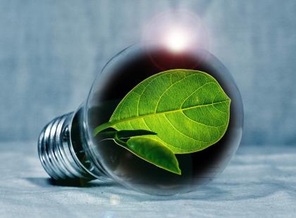 Illustration photo, green leaf in light bulb